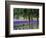 USA, Washington State, Sequim, Lavender Field-Terry Eggers-Framed Photographic Print