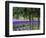 USA, Washington State, Sequim, Lavender Field-Terry Eggers-Framed Photographic Print