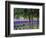 USA, Washington State, Sequim, Lavender Field-Terry Eggers-Framed Photographic Print