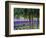 USA, Washington State, Sequim, Lavender Field-Terry Eggers-Framed Photographic Print