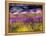 USA, Washington State, Sequim, Lavender Field-Terry Eggers-Framed Premier Image Canvas