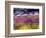 USA, Washington State, Sequim, Lavender Field-Terry Eggers-Framed Photographic Print