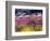 USA, Washington State, Sequim, Lavender Field-Terry Eggers-Framed Photographic Print