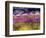 USA, Washington State, Sequim, Lavender Field-Terry Eggers-Framed Photographic Print