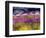 USA, Washington State, Sequim, Lavender Field-Terry Eggers-Framed Photographic Print