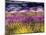 USA, Washington State, Sequim, Lavender Field-Terry Eggers-Mounted Photographic Print