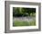 USA, Washington State, Sequim, Lavender Field-Terry Eggers-Framed Photographic Print