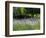 USA, Washington State, Sequim, Lavender Field-Terry Eggers-Framed Photographic Print