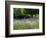 USA, Washington State, Sequim, Lavender Field-Terry Eggers-Framed Photographic Print