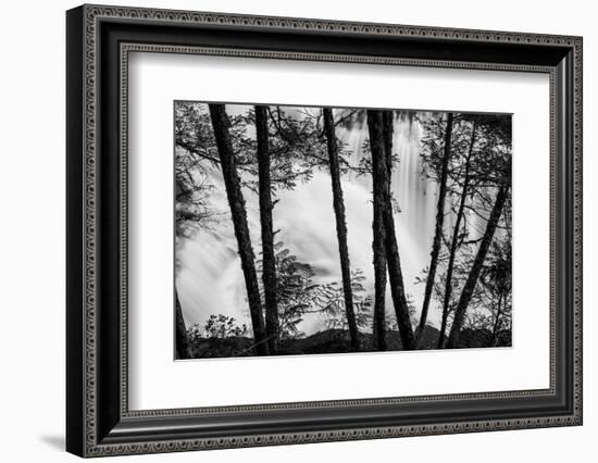 USA, Washington State, Skamania County, Lower Lewis River Falls in BW, behind the pine tree trunks.-Brent Bergherm-Framed Photographic Print