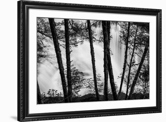 USA, Washington State, Skamania County, Lower Lewis River Falls in BW, behind the pine tree trunks.-Brent Bergherm-Framed Photographic Print