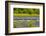 USA, Washington State, Squim, Lavender Field-Hollice Looney-Framed Photographic Print