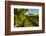 USA, Washington State, vineyard-Richard Duval-Framed Photographic Print