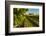 USA, Washington State, vineyard-Richard Duval-Framed Photographic Print