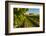 USA, Washington State, vineyard-Richard Duval-Framed Photographic Print