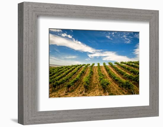 USA, Washington State, Walla Walla.-Richard Duval-Framed Photographic Print