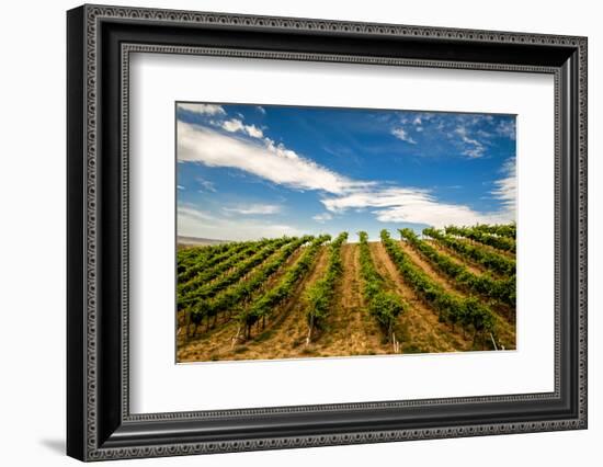 USA, Washington State, Walla Walla.-Richard Duval-Framed Photographic Print