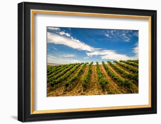 USA, Washington State, Walla Walla.-Richard Duval-Framed Photographic Print