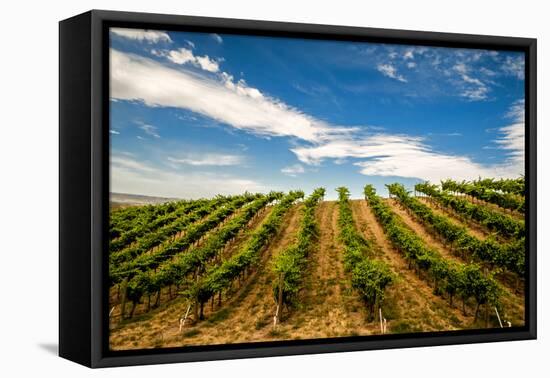 USA, Washington State, Walla Walla.-Richard Duval-Framed Premier Image Canvas