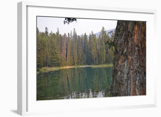 Usa, Washington State, Wenatchee National Forest, Milk Pond-Savanah Stewart-Framed Photographic Print