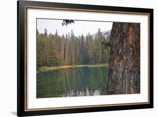 Usa, Washington State, Wenatchee National Forest, Milk Pond-Savanah Stewart-Framed Photographic Print