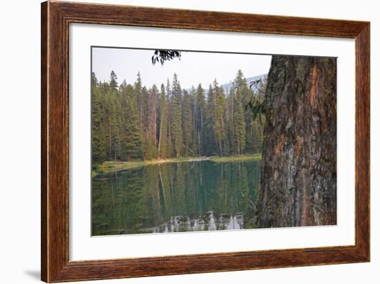 Usa, Washington State, Wenatchee National Forest, Milk Pond-Savanah Stewart-Framed Photographic Print