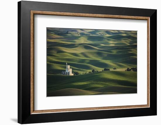 USA, Washington State, Whitman County. Views from Steptoe Butte State Park.-Brent Bergherm-Framed Photographic Print