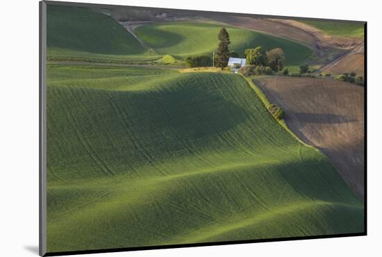 USA, Washington State, Whitman County. Views from Steptoe Butte State Park.-Brent Bergherm-Mounted Photographic Print