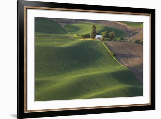 USA, Washington State, Whitman County. Views from Steptoe Butte State Park.-Brent Bergherm-Framed Photographic Print