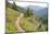 USA, Washington State. Wildflowers carpet hillsides along Mt. Townsend trail. Buckhorn Wilderness O-Trish Drury-Mounted Photographic Print