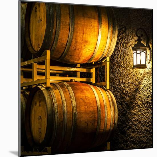 USA, Washington State, Yakima Valley. Barrel cave in low light.-Richard Duval-Mounted Photographic Print