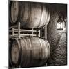 USA, Washington State, Yakima Valley. Barrel cave in low light.-Richard Duval-Mounted Photographic Print