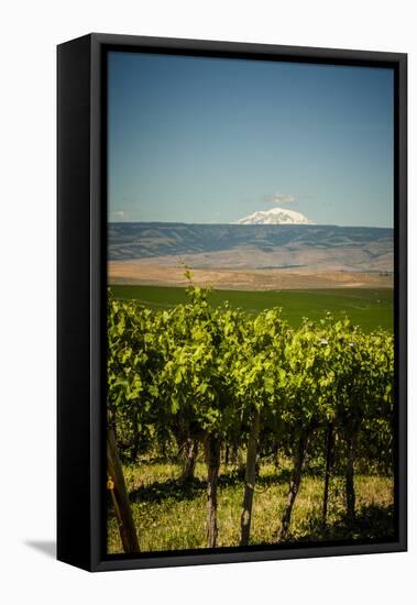 USA, Washington State, Yakima Valley.-Richard Duval-Framed Premier Image Canvas