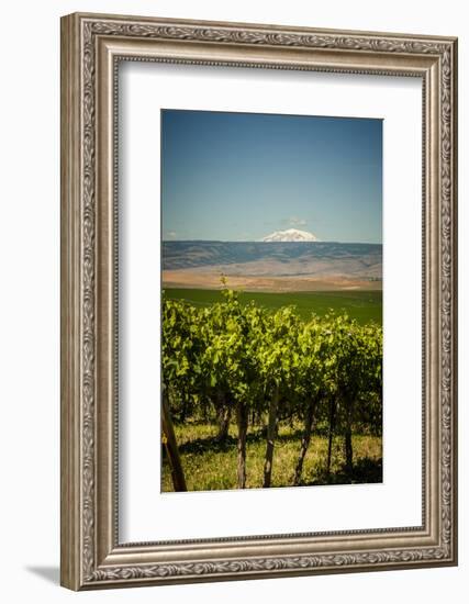 USA, Washington State, Yakima Valley.-Richard Duval-Framed Photographic Print