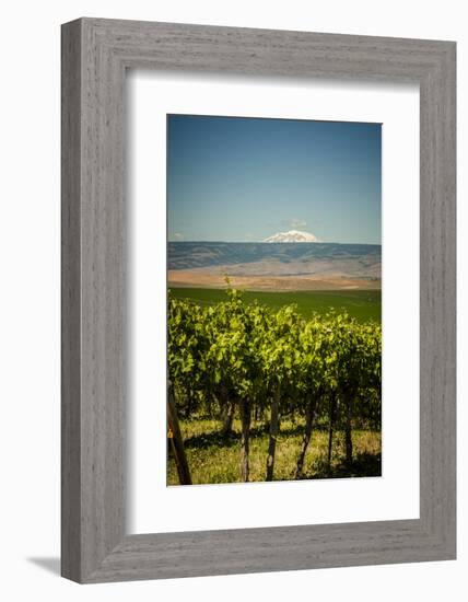 USA, Washington State, Yakima Valley.-Richard Duval-Framed Photographic Print