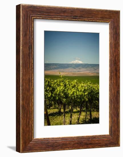 USA, Washington State, Yakima Valley.-Richard Duval-Framed Photographic Print