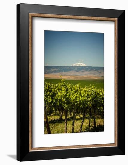 USA, Washington State, Yakima Valley.-Richard Duval-Framed Photographic Print