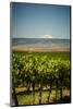 USA, Washington State, Yakima Valley.-Richard Duval-Mounted Photographic Print