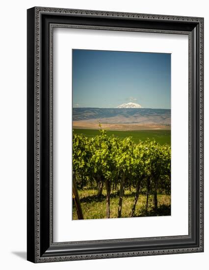 USA, Washington State, Yakima Valley.-Richard Duval-Framed Photographic Print