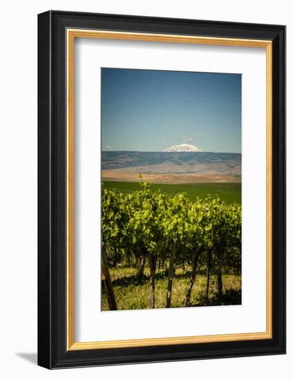 USA, Washington State, Yakima Valley.-Richard Duval-Framed Photographic Print