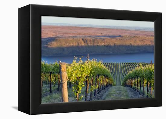 USA, Washington. the Benches Vineyard in the Horse Heaven Hills Ava-Janis Miglavs-Framed Premier Image Canvas