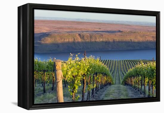 USA, Washington. the Benches Vineyard in the Horse Heaven Hills Ava-Janis Miglavs-Framed Premier Image Canvas