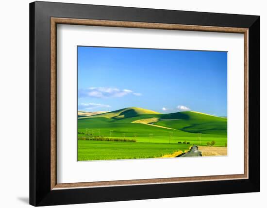 USA, Washington, Walla Walla. Blue Mountains Border Fields-Richard Duval-Framed Photographic Print