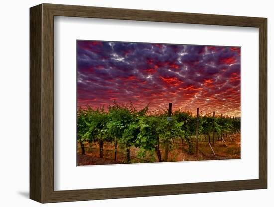 USA, Washington, Walla Walla. Scenes from wine country-Richard Duval-Framed Photographic Print
