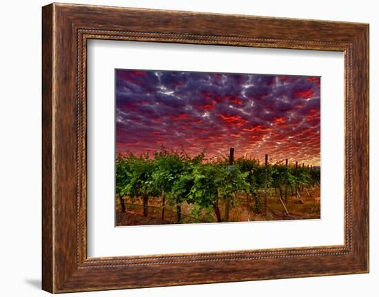 USA, Washington, Walla Walla. Scenes from wine country-Richard Duval-Framed Photographic Print