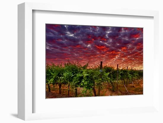 USA, Washington, Walla Walla. Scenes from wine country-Richard Duval-Framed Photographic Print