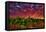 USA, Washington, Walla Walla. Scenes from wine country-Richard Duval-Framed Premier Image Canvas