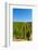 USA, Washington, Walla Walla. Vineyard in Walla Walla Wine Country-Richard Duval-Framed Photographic Print