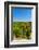 USA, Washington, Walla Walla. Vineyard in Walla Walla Wine Country-Richard Duval-Framed Photographic Print