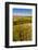 USA, Washington, Walla Walla.Wildflowers in a Vineyard in Wine Country-Richard Duval-Framed Photographic Print